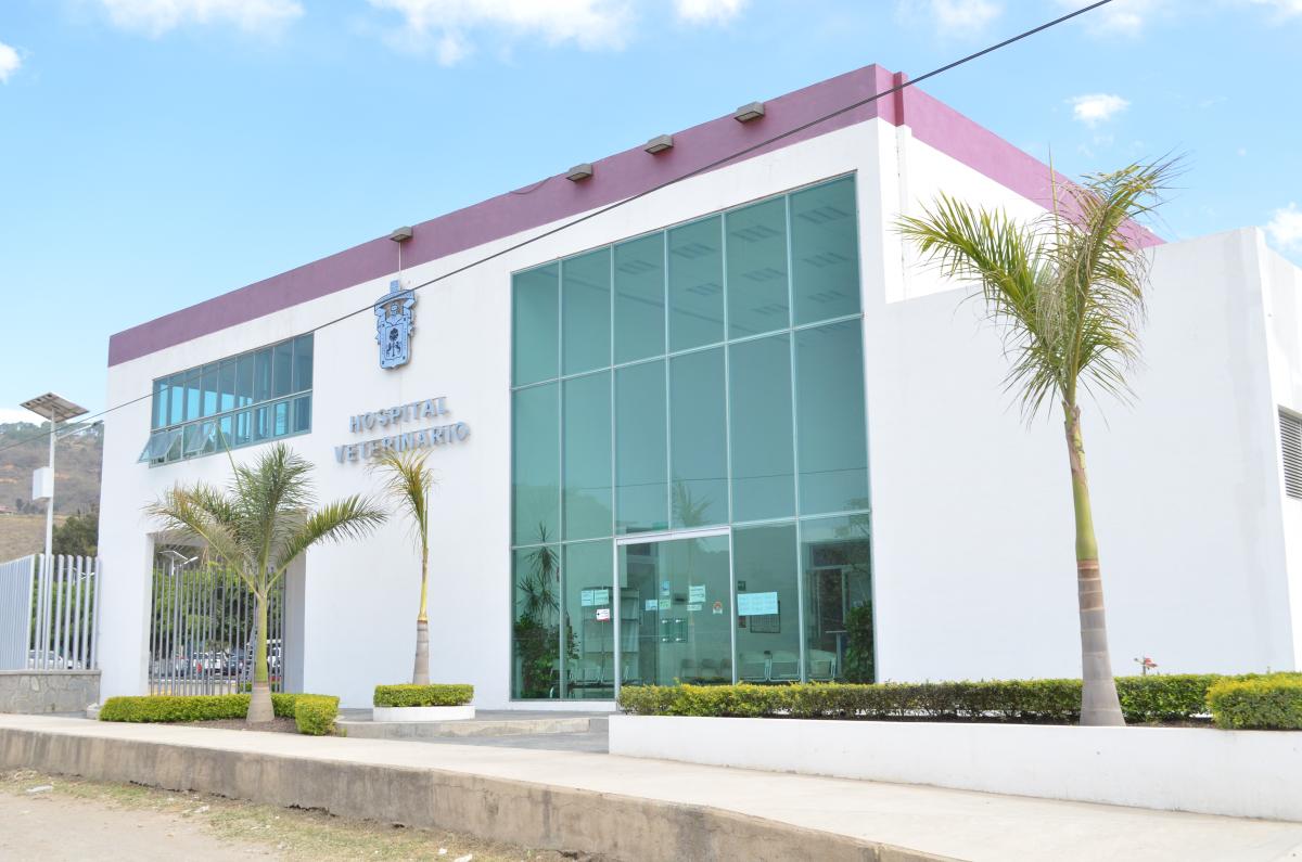 Vista del Hospital Veterinario CUSur