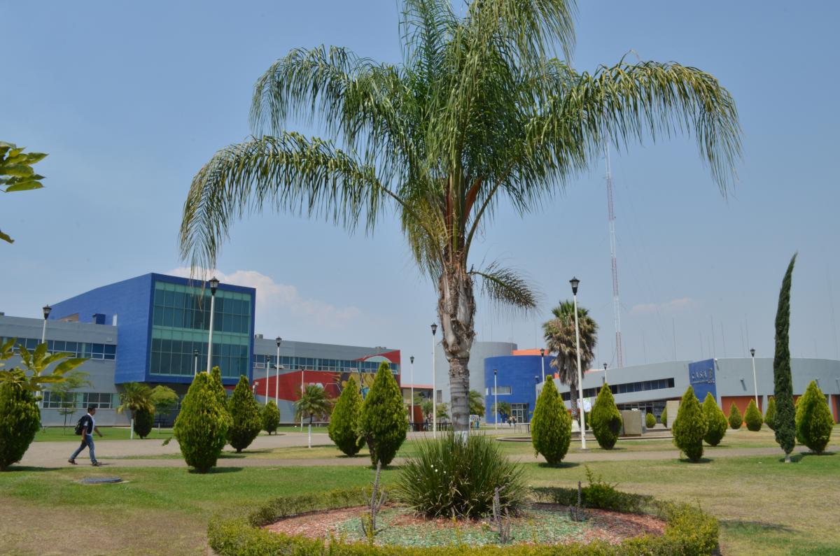 Panoramica de instalaciones del CUSur