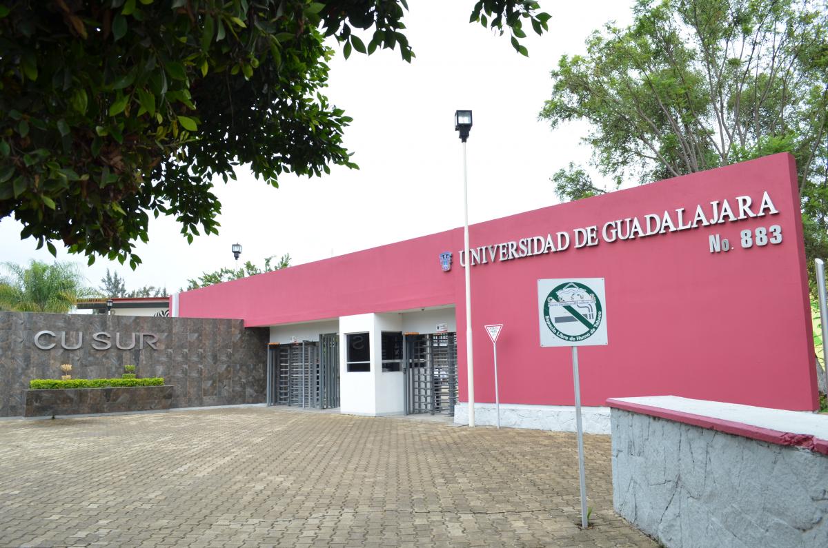 Acceso peatonal 1